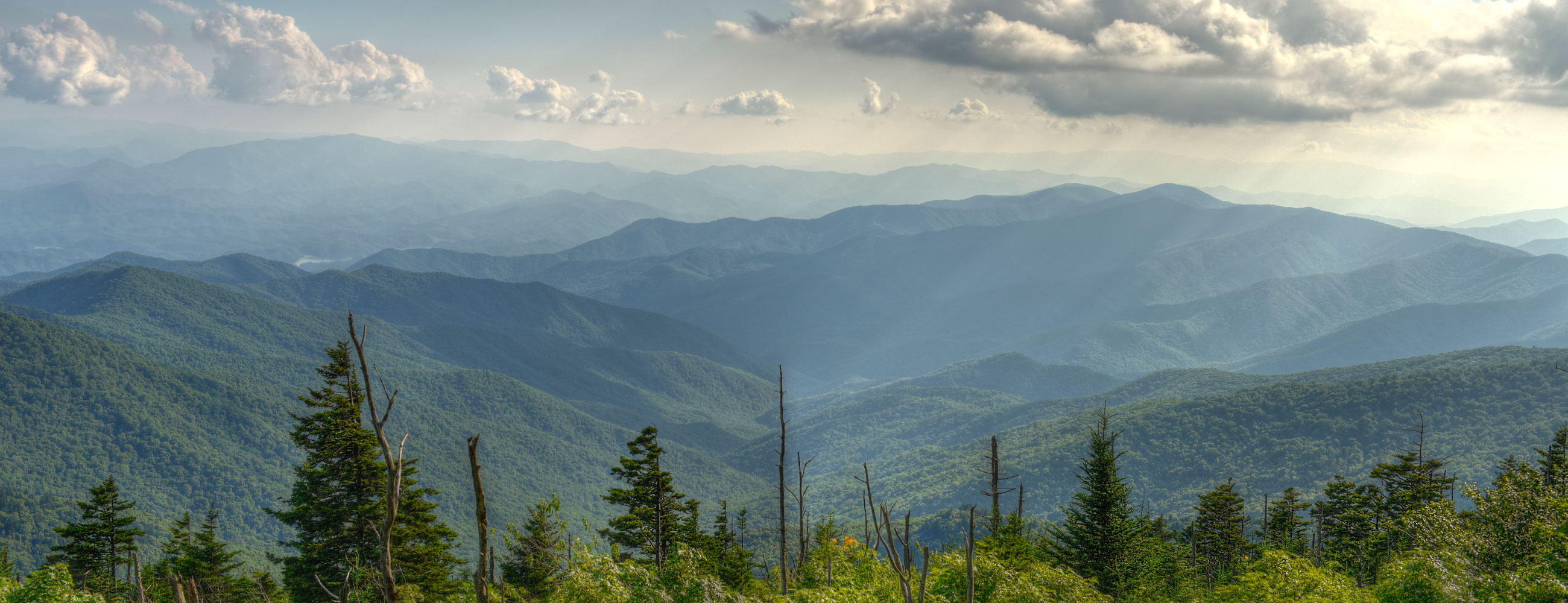 Hemjey Tech Innovation